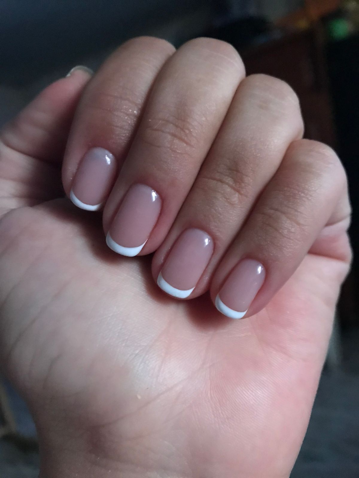 WhatsApp Image 2026-02-19 at 7.29.01 AM (3)